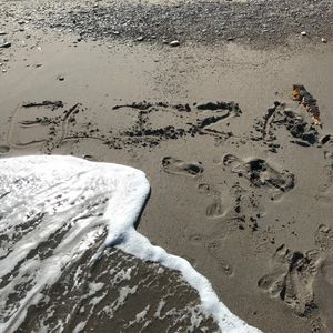 Meet your Posher, Eliza